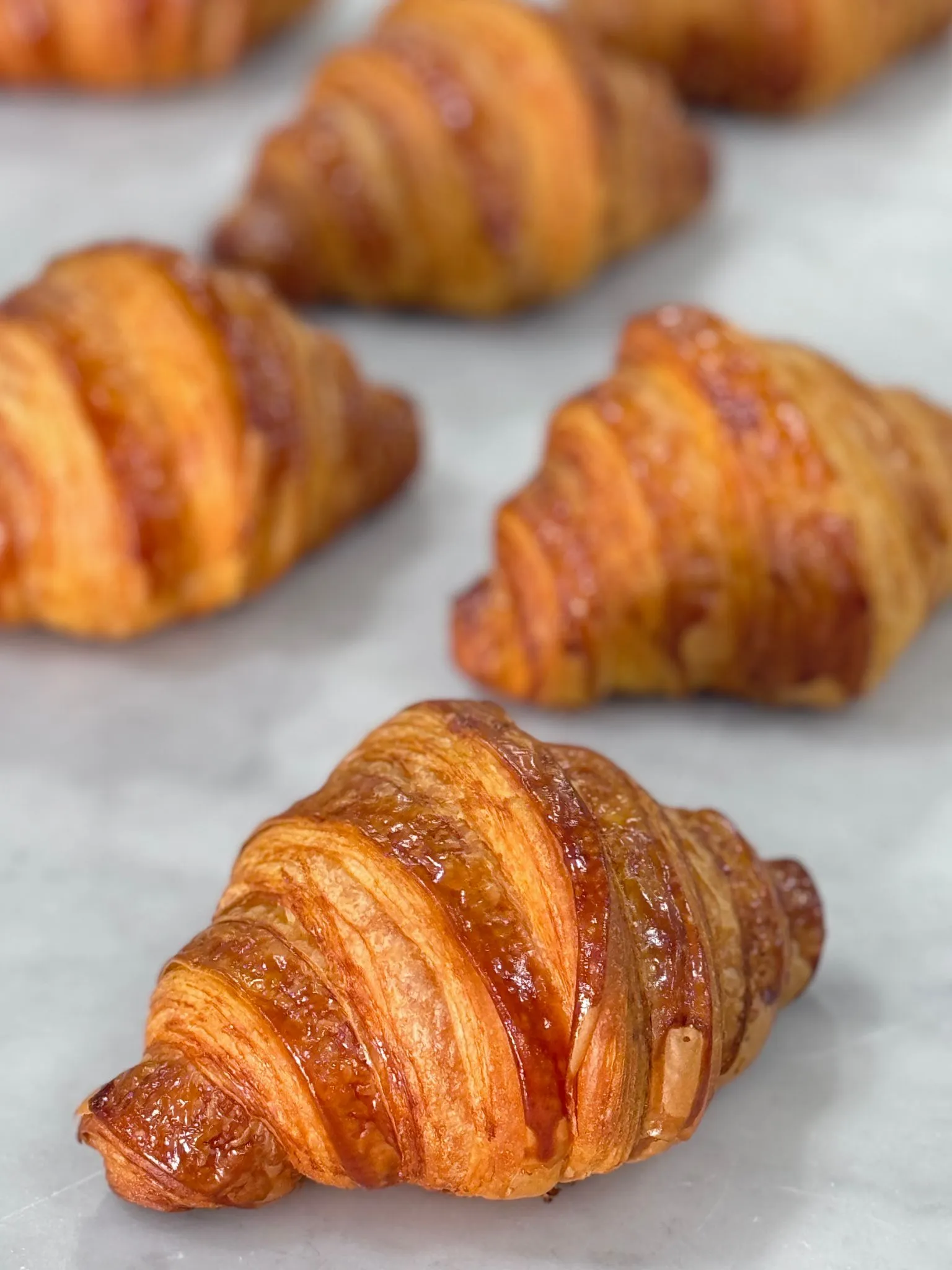 Viennoiserie Collection Thumbnail
