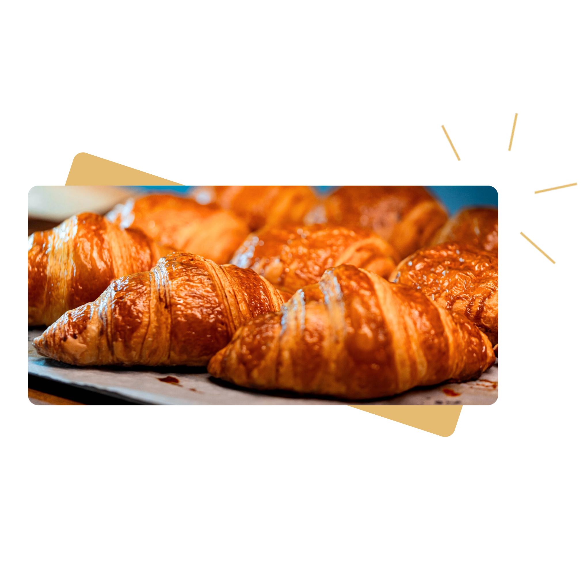 Sandwich Section Image