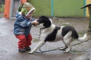 Cane cantena bambino.047