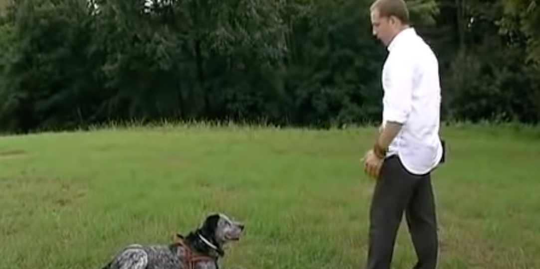 Il primo videocorso di Educazione Cinofila con Corriere della Sera nel 2010