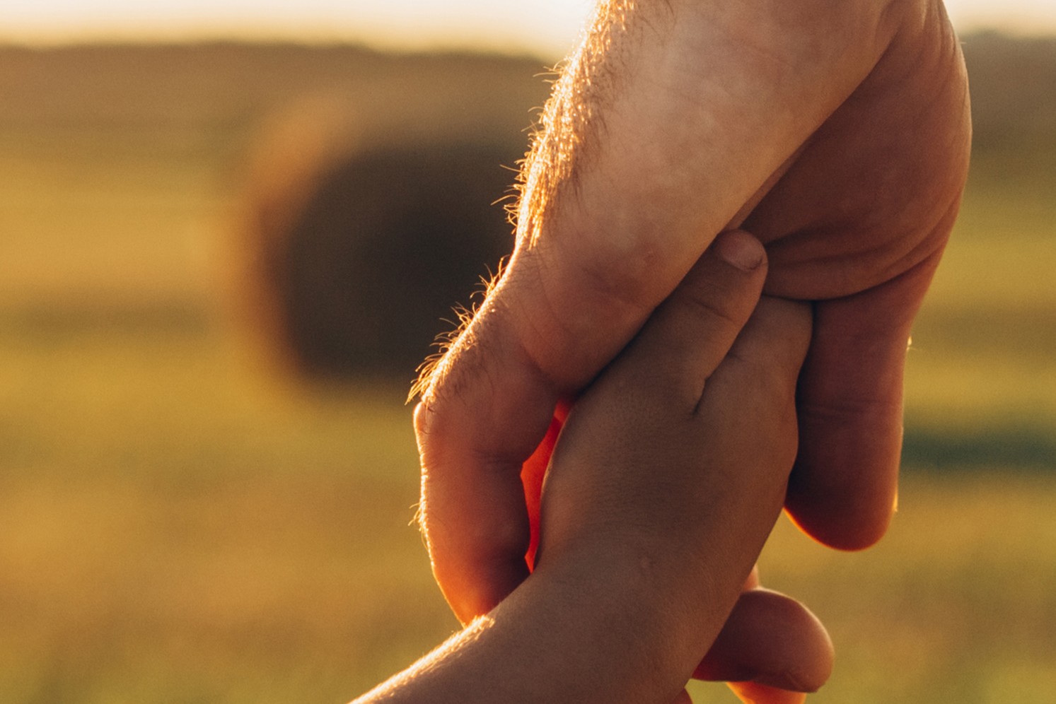 Close-up of a child's hand holding an adult's hand