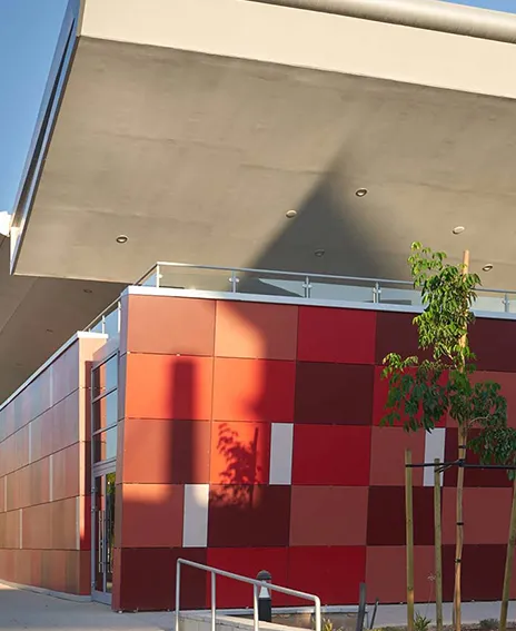 Modern building wall with red and brown square panels, a young tree supported by wooden stakes, and shadows cast on the wall.
