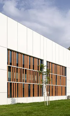 Modern white building facade with large wooden slatted windows and a small tree planted in front on green grass.