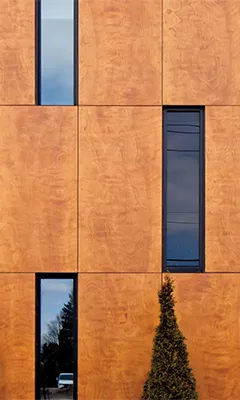 Tall modern building facade with vertical rectangular windows and a tree in front.