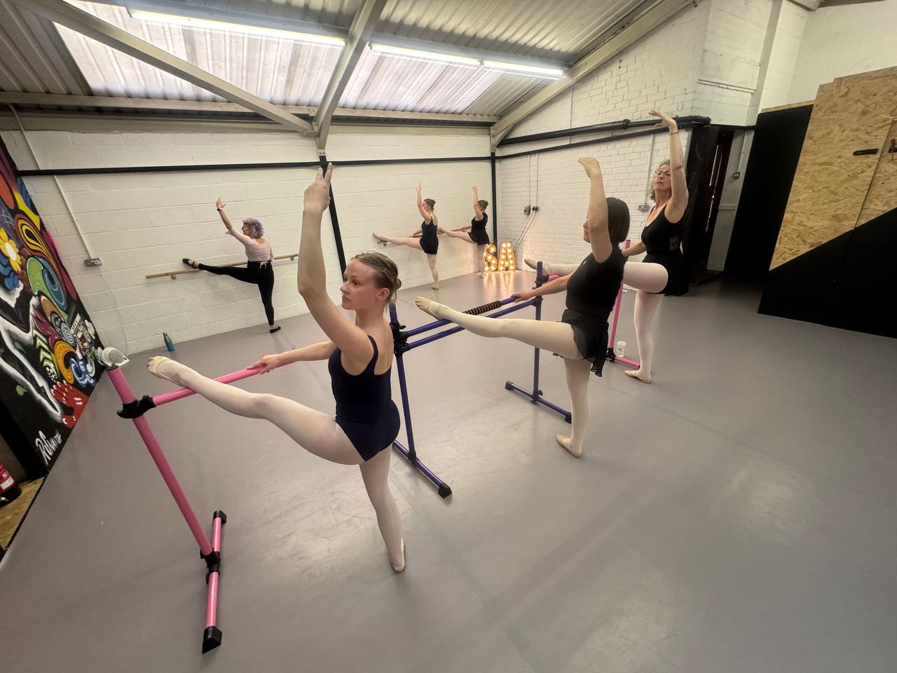 ballet barre pro