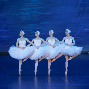The dance of little swans