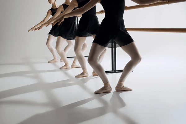 Ballet barre plie