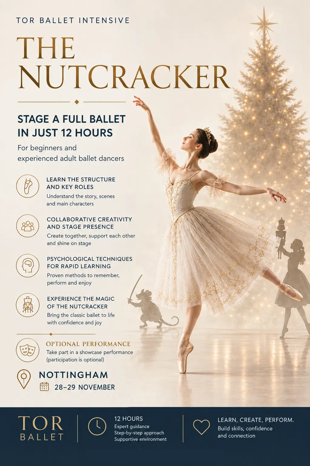 Adult ballet Beginners