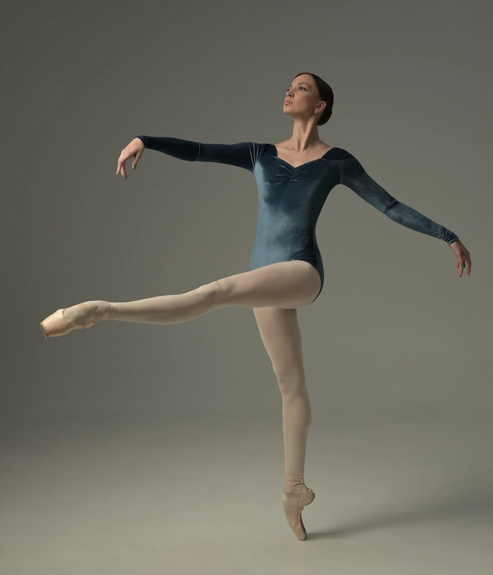 Long sleeve  Leotard