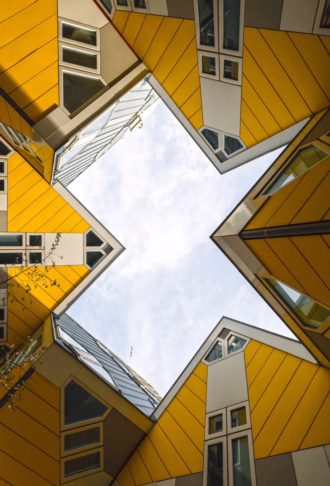 yellow image