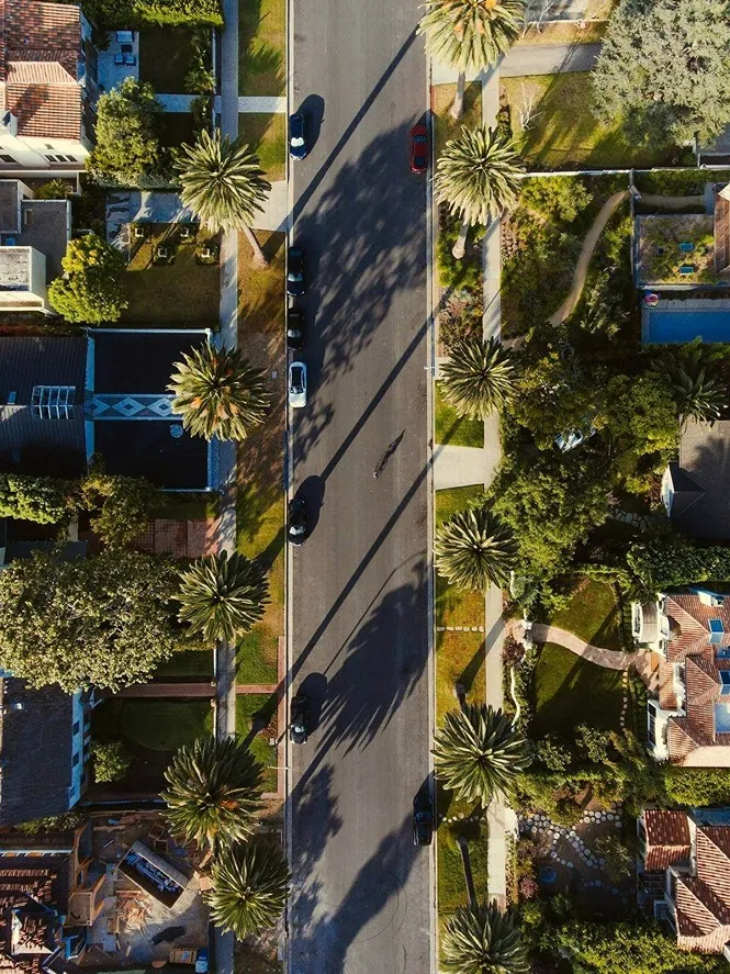 Overhead view of residential street lined with trees and houses.