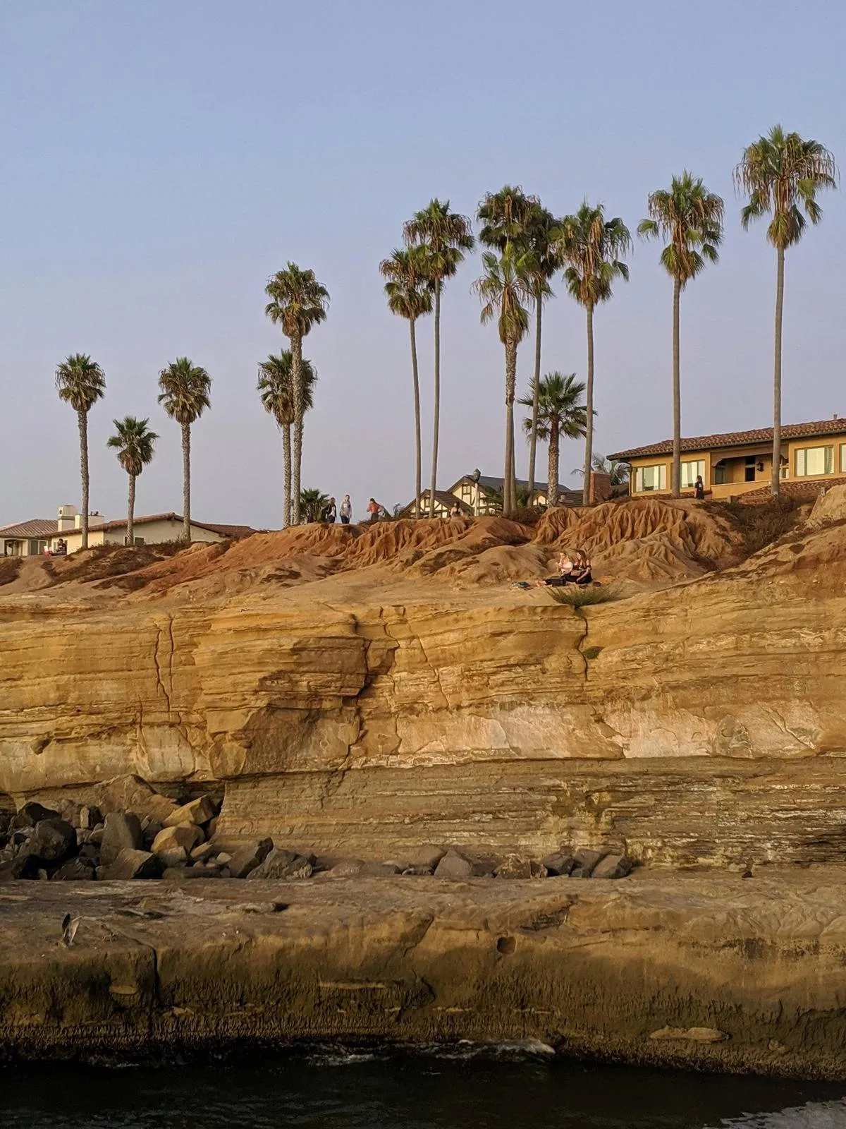 Palm trees and houses on top of rocky coastal cliffs in Southern California at sunset.