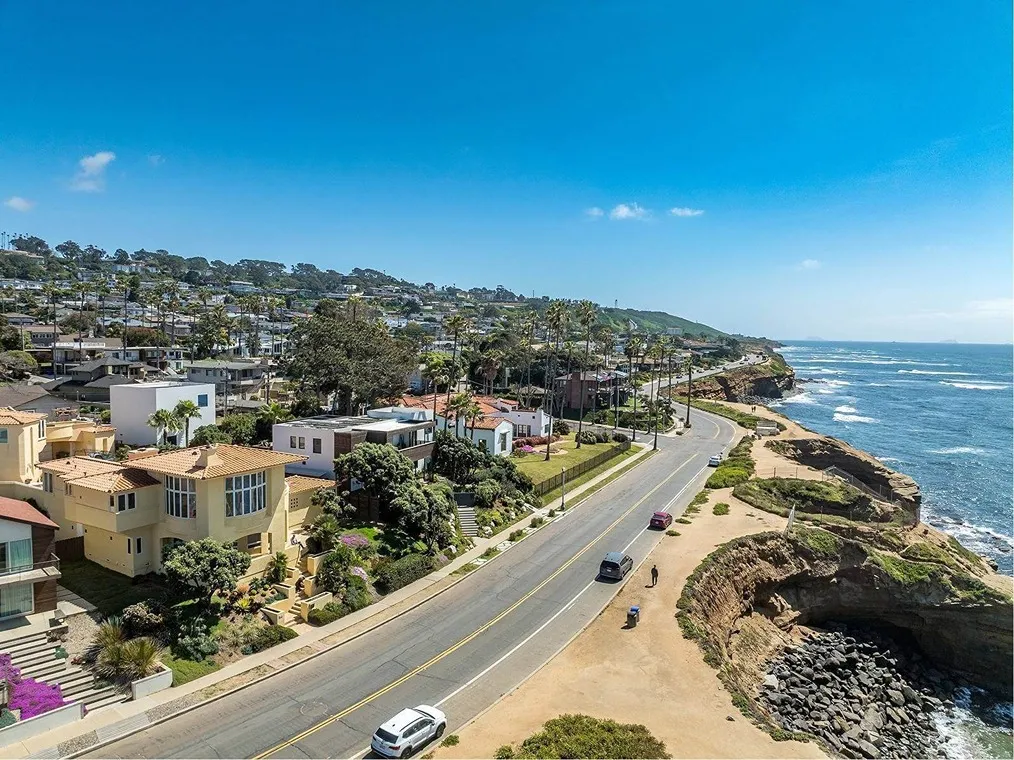 Aerial view of La Jolla coastline with houses, palm trees, and ocean cliffs along the road.