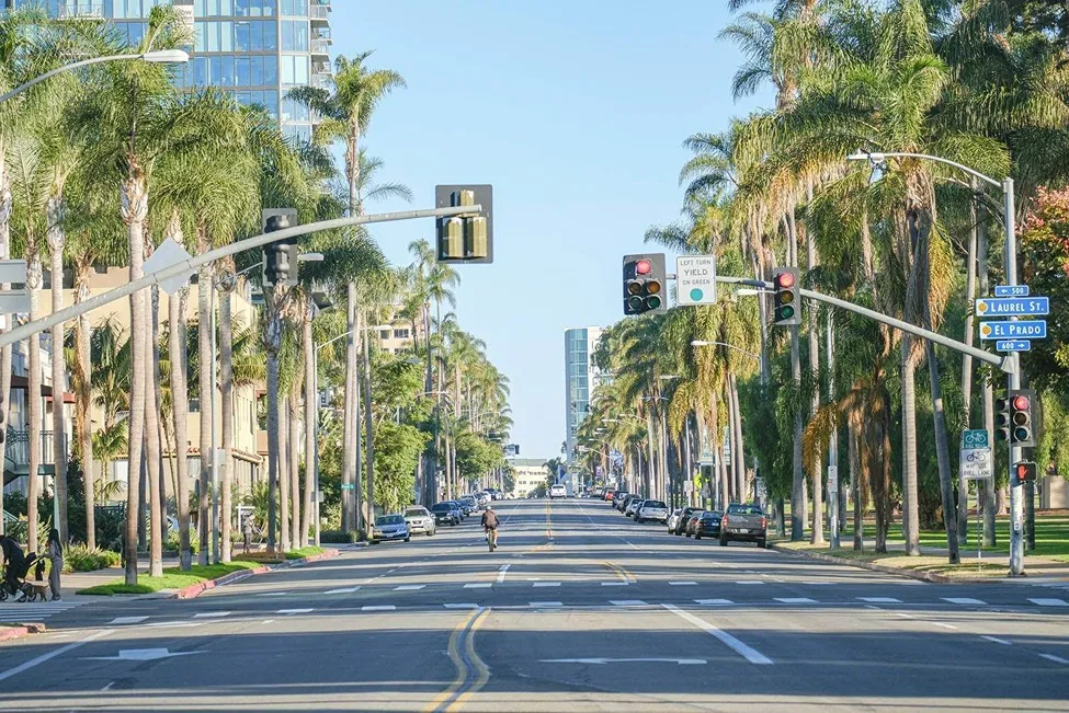Palm tree–lined city street in California with cars, traffic lights, and buildings in the background.