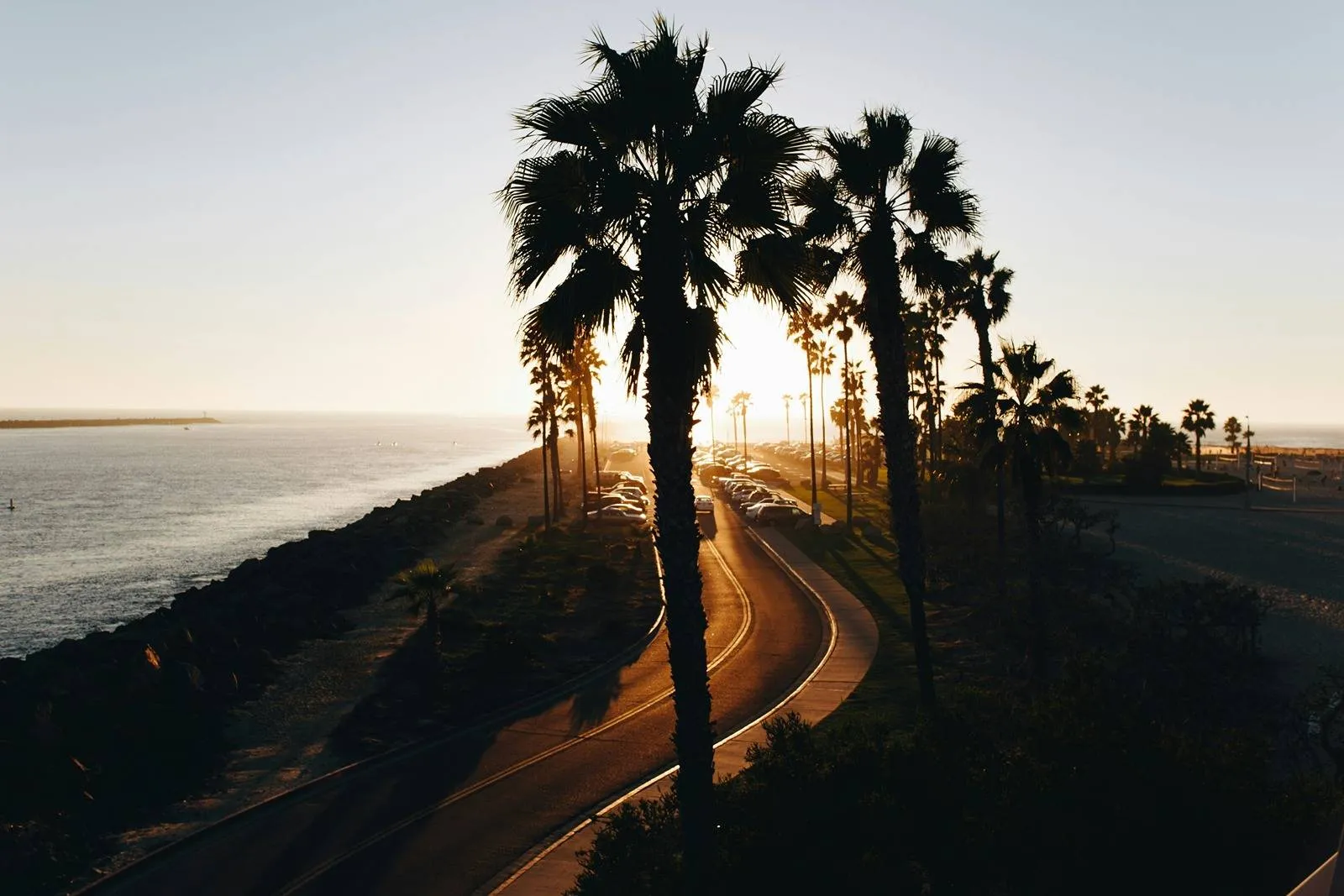 Palm trees lining a coastal road at sunset with the ocean to the left and parked cars along the shoreline.