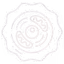 Stylised cell diagram showing internal organelles for GCSE biology organisation