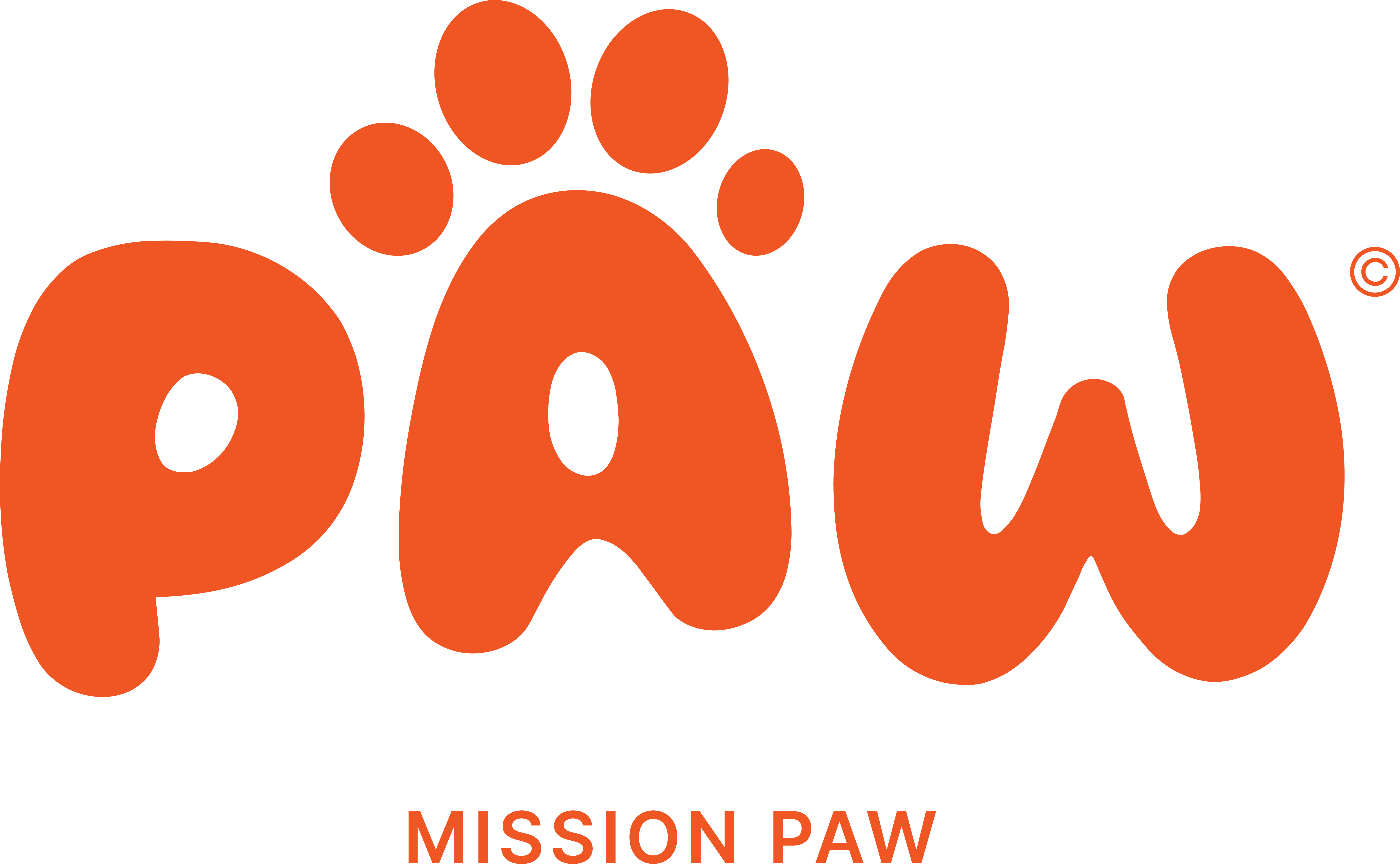 Paw Mission