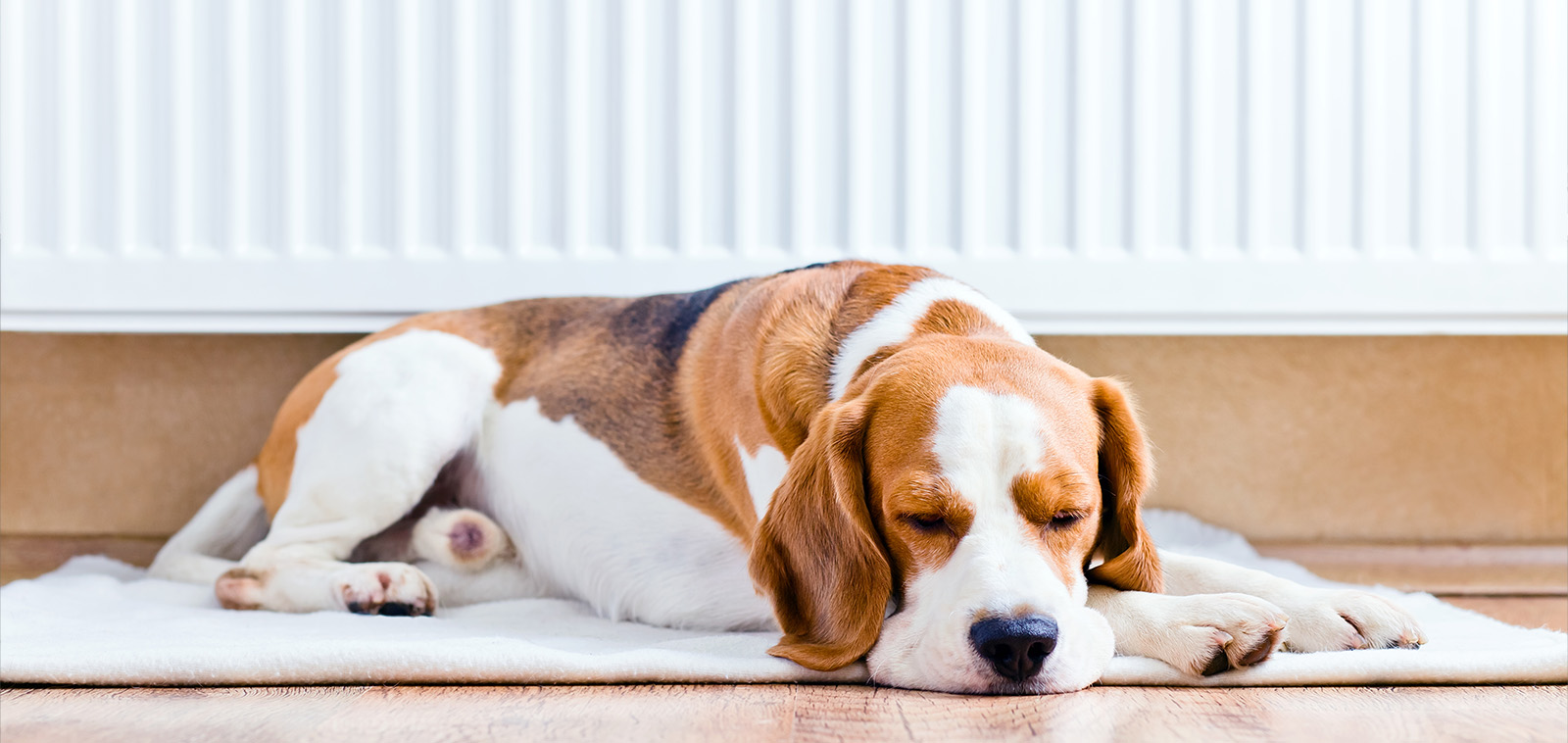 Why Powerflushing Your Central Heating System Could Save You Money