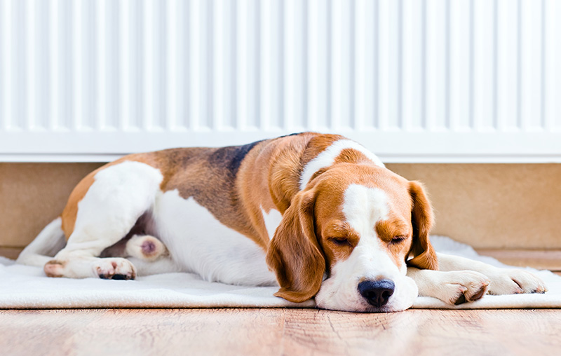 Why Powerflushing Your Central Heating System Could Save You Money