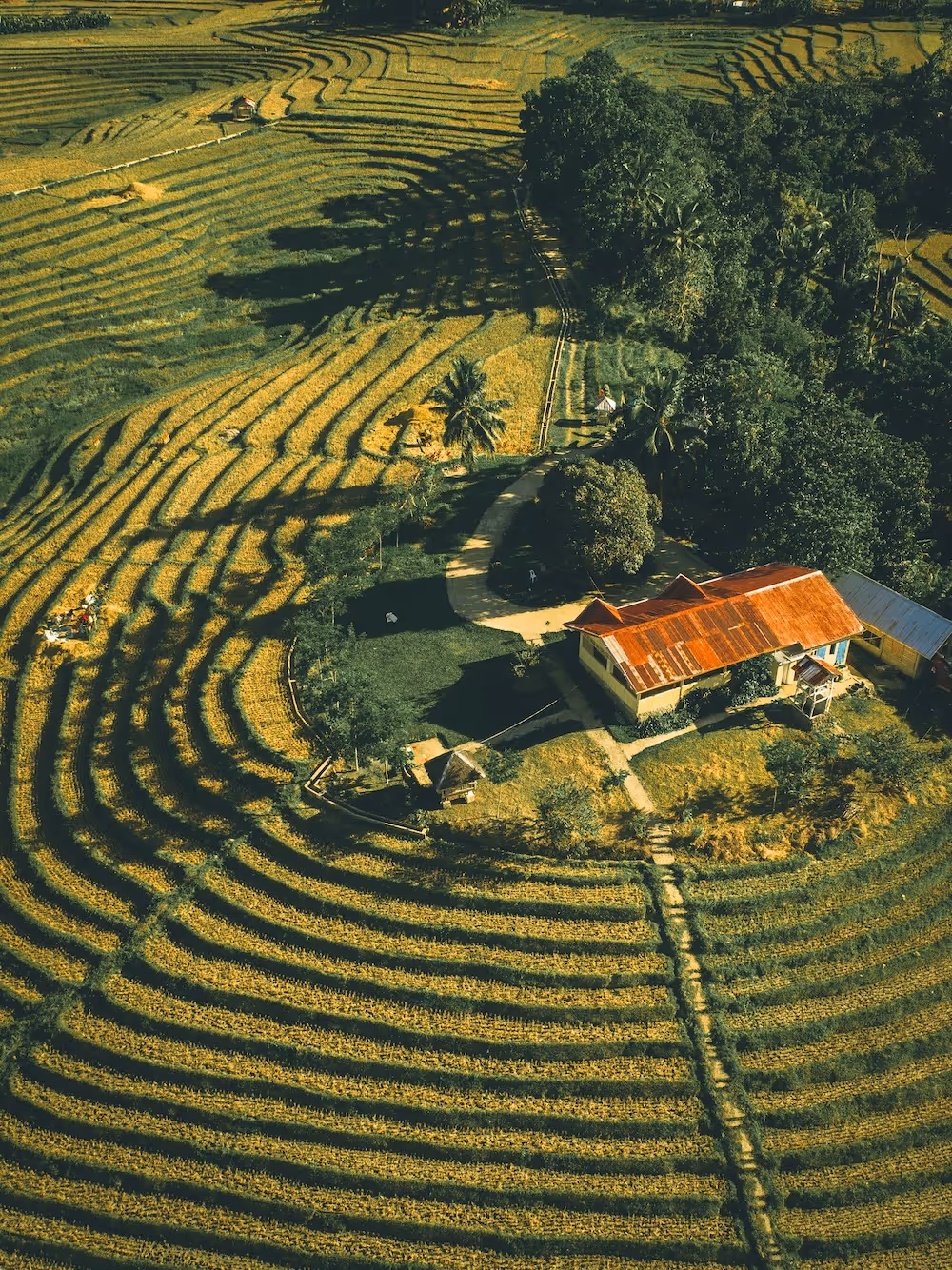 Maison vu de drone