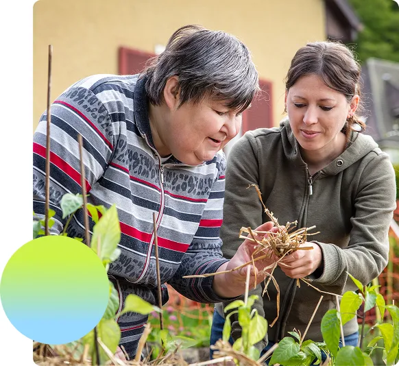 Mature disabled woman receiving help while gardening with her companion