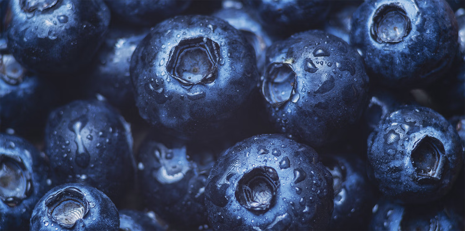 Blueberry
