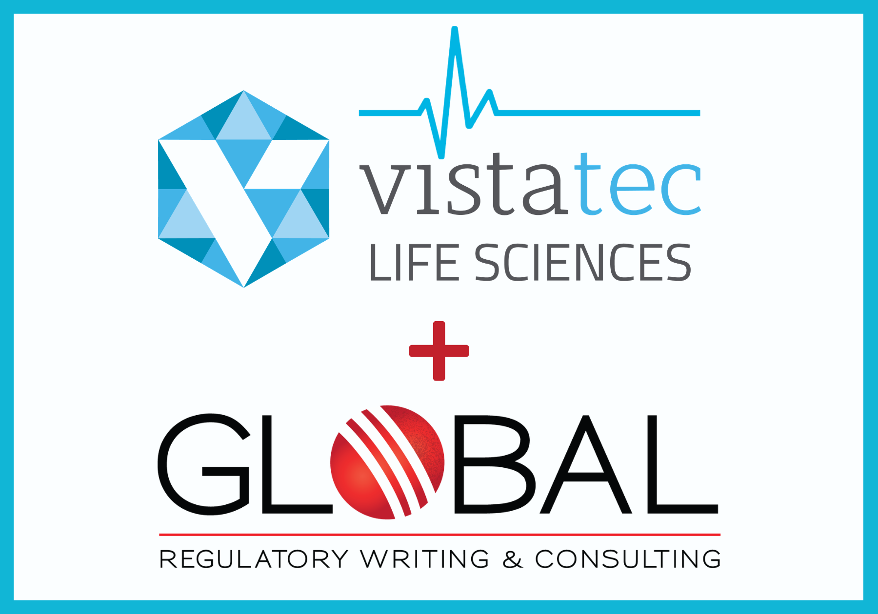 vistatec parntership