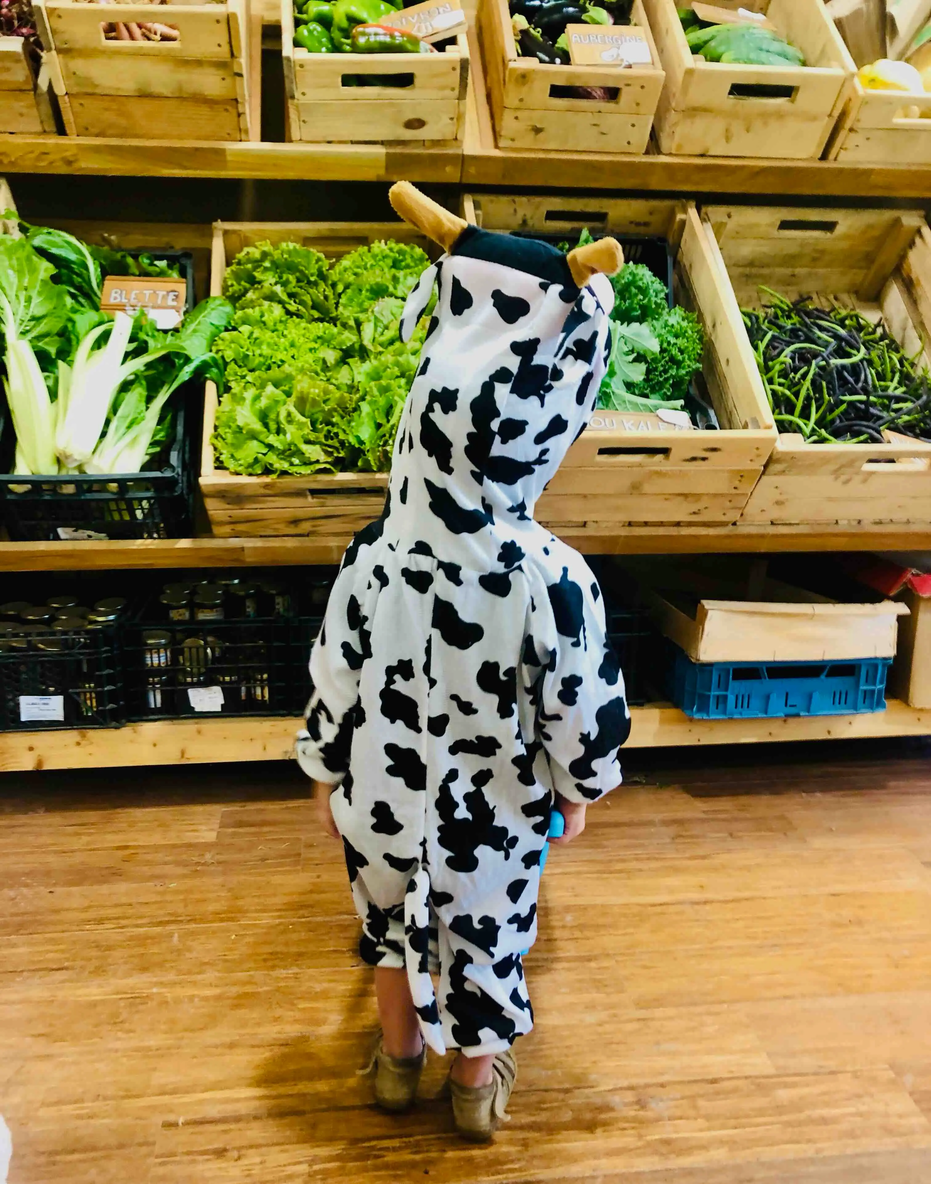 enfant avec déguisement de vache dans la boutique Arbre de Vie