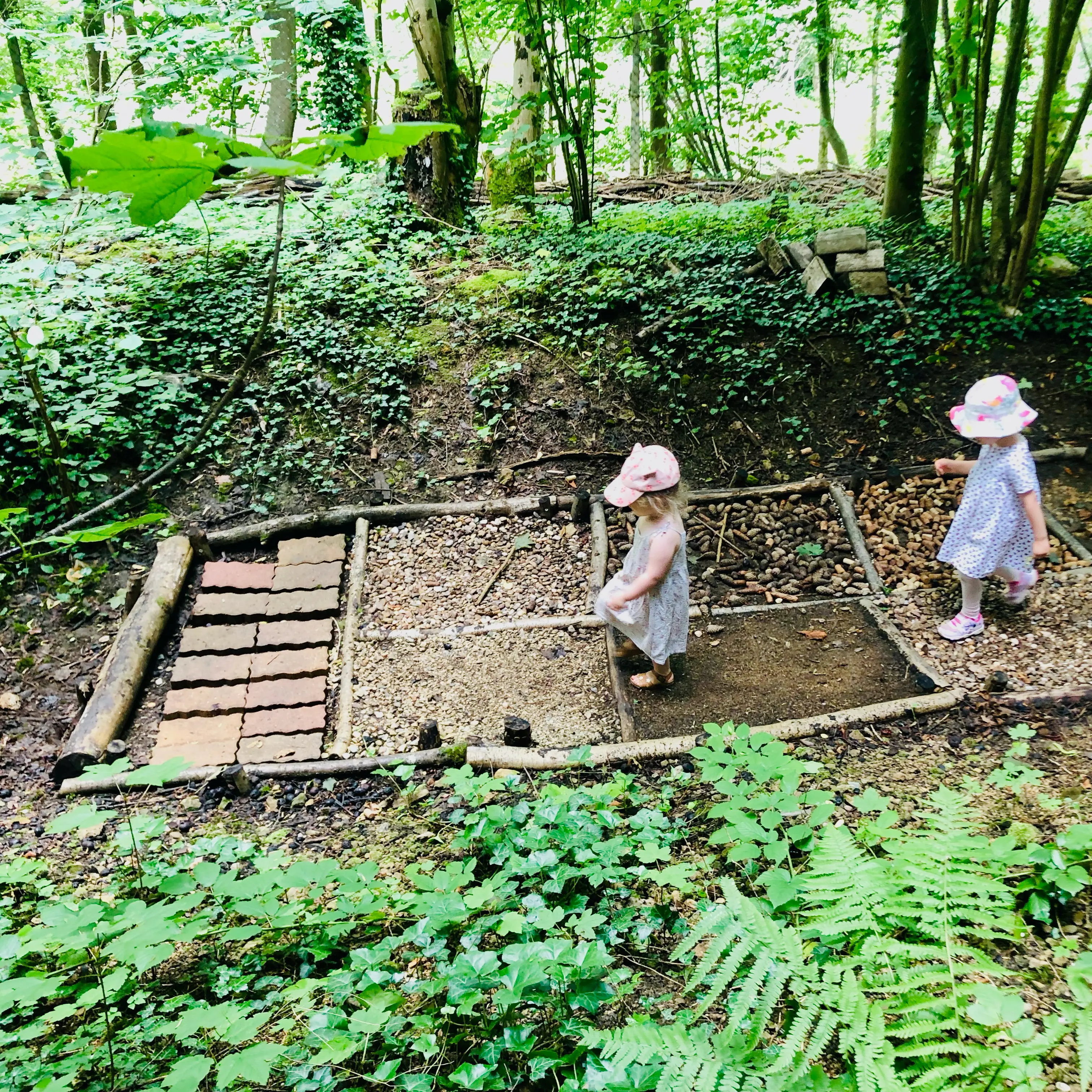 2 enfants marchent sur un sentier forestier