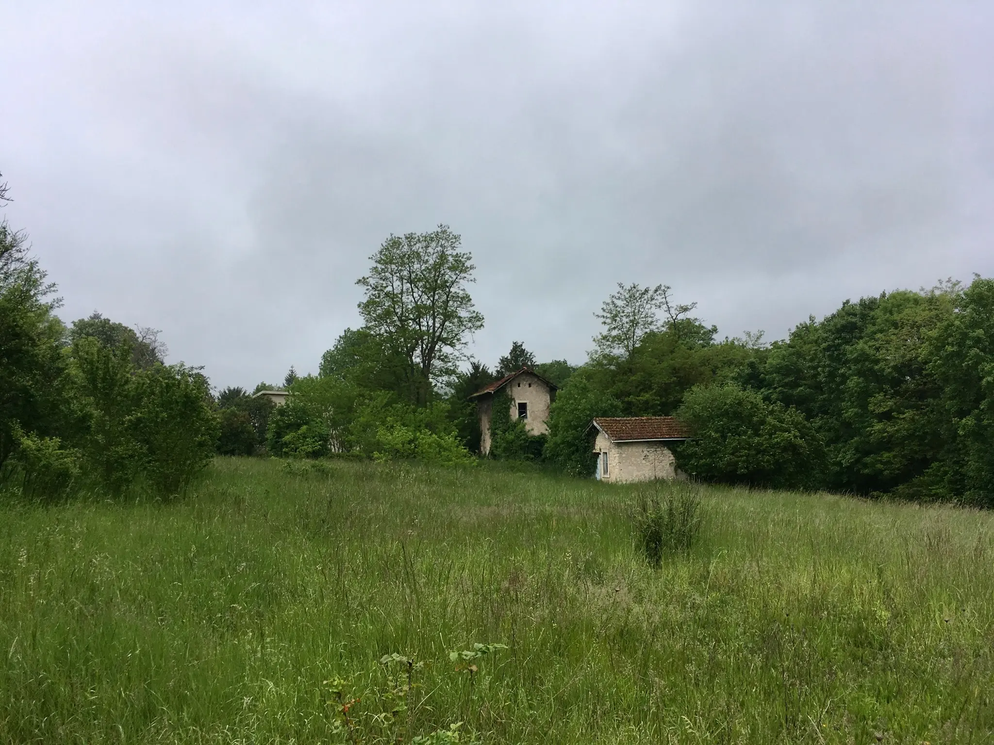 un terrain en friche