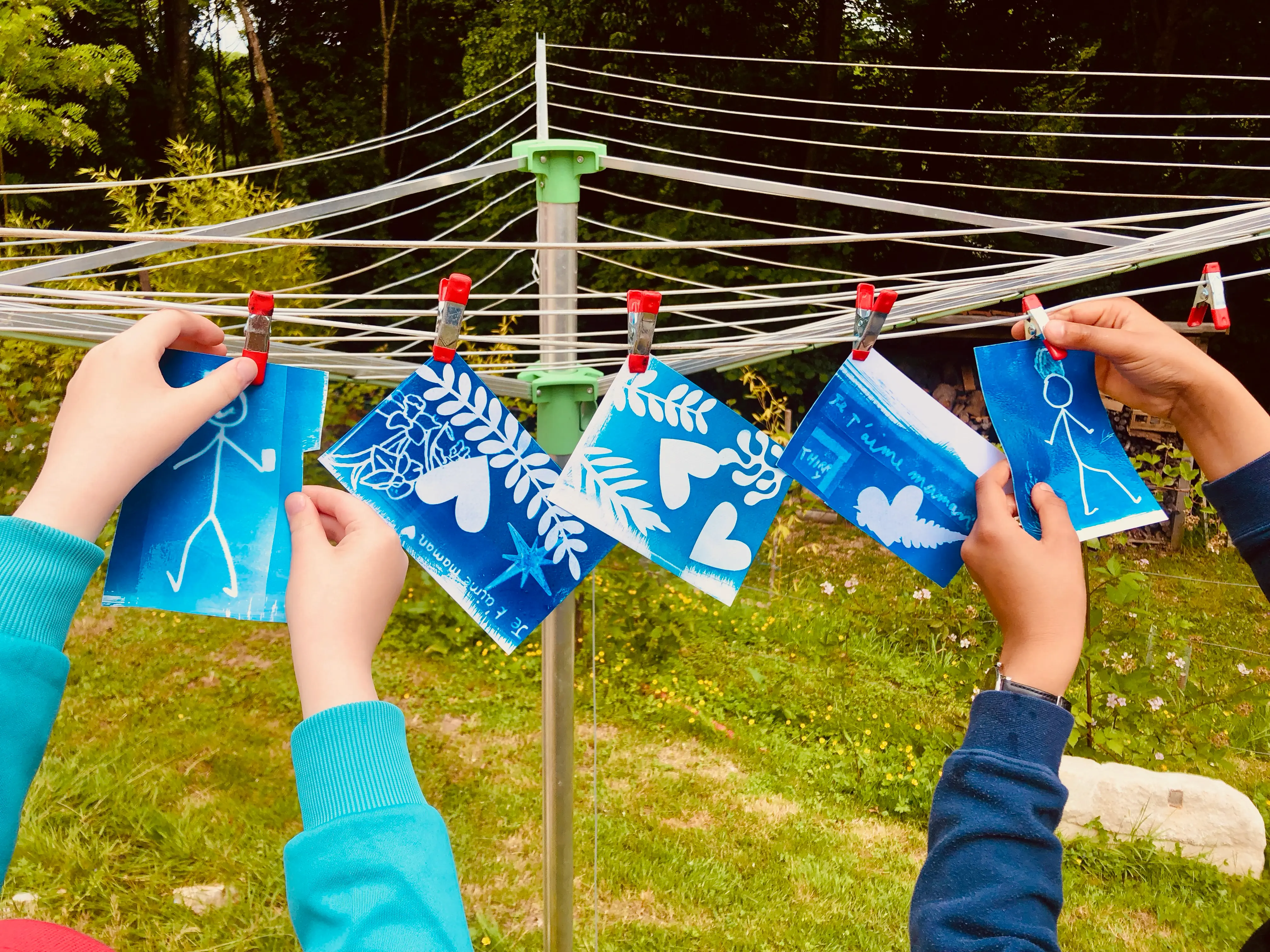 mains accrochant des cyanotypes pour les faire sécher