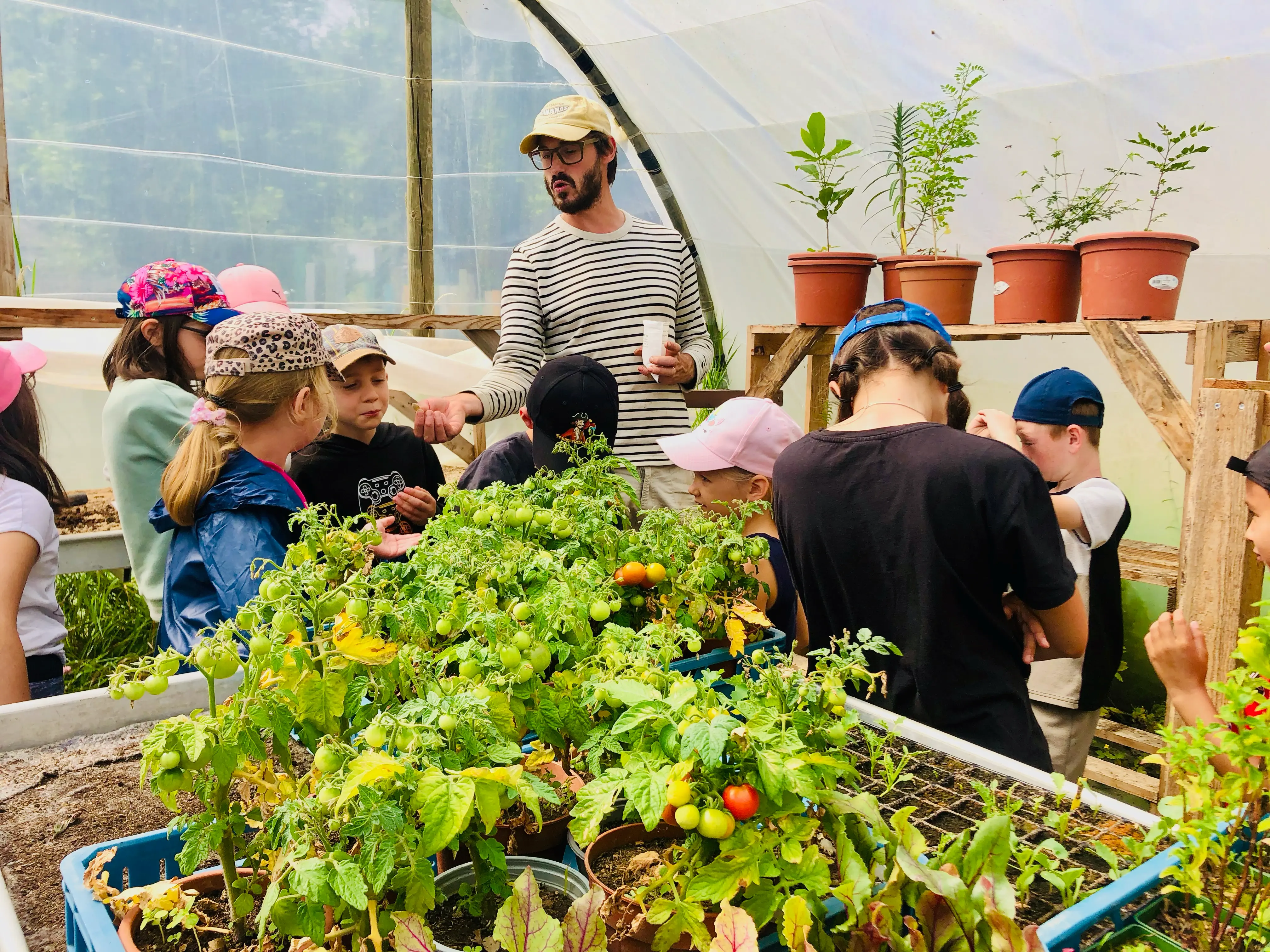 groupe d'enfants sous une serre de tomates