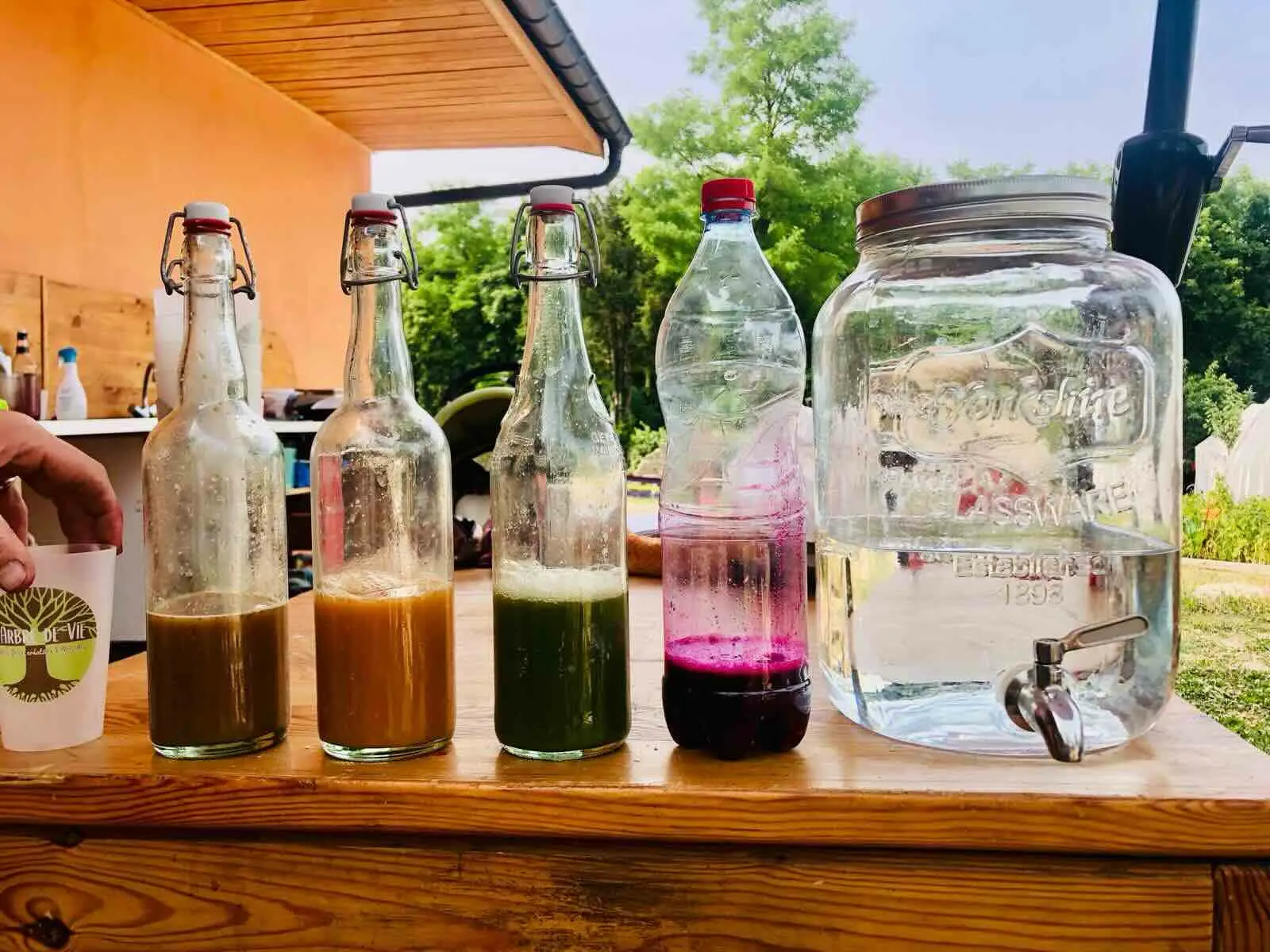 4 bouteilles de jus de légumes aux couleurs variées