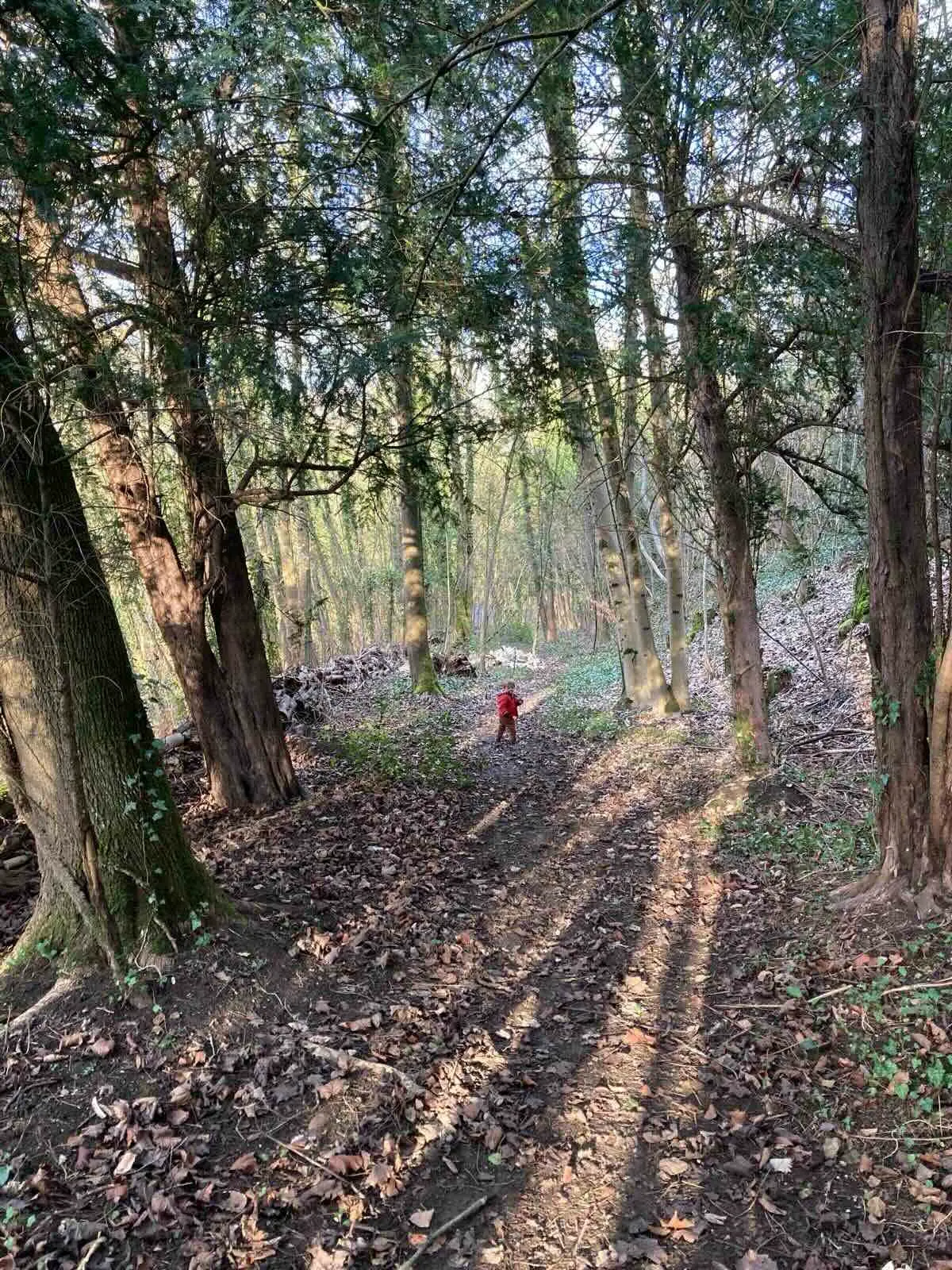 atelier jeu de piste dans la forêt