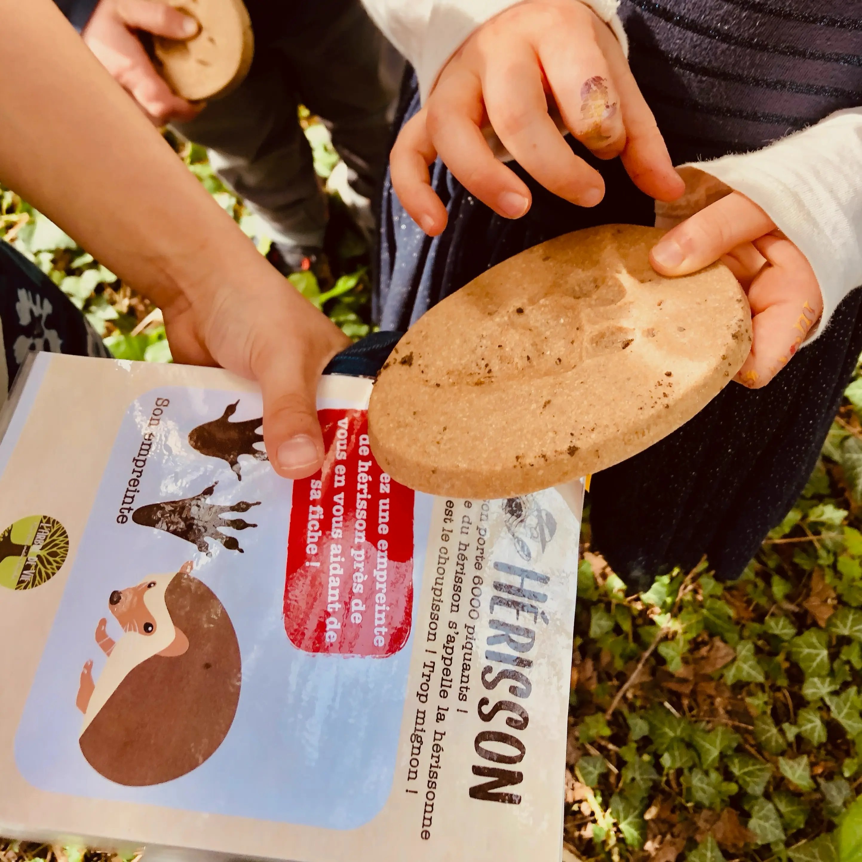 atelier empreinte animaux