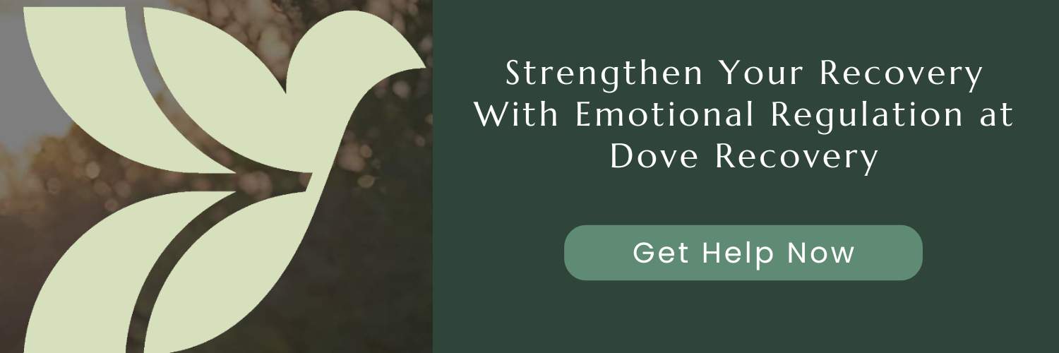 what is emotional regulation