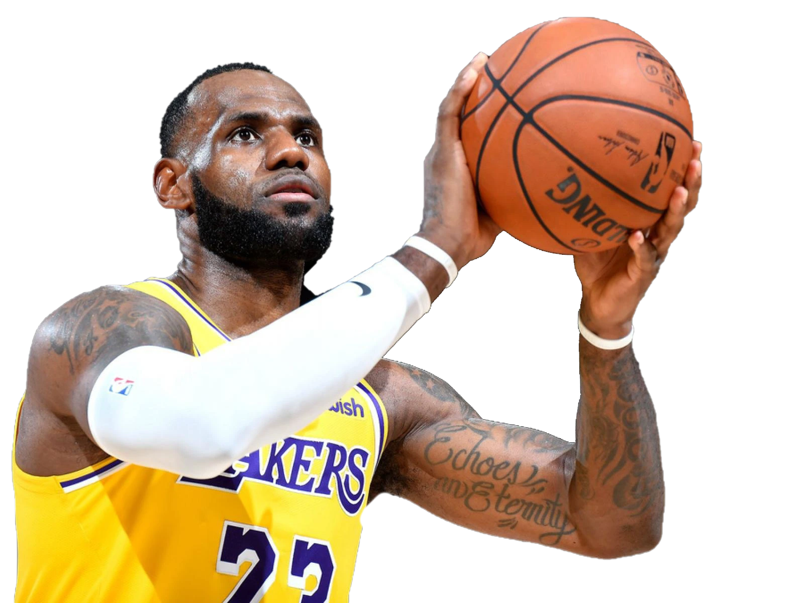 LeBron James