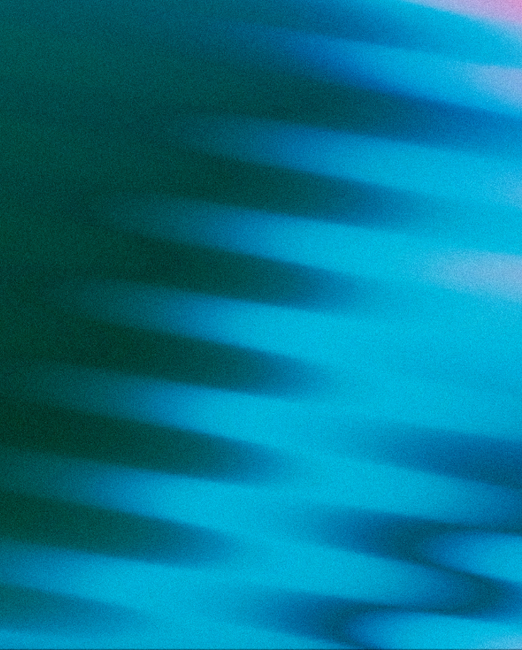 The Build vs Buy Dillemma