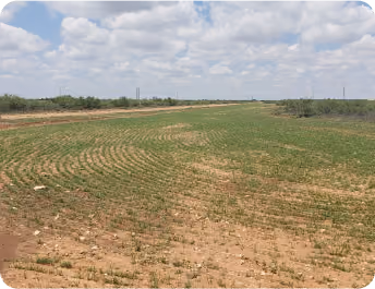 Hydroseeding in Huntsville & Madison County, Al