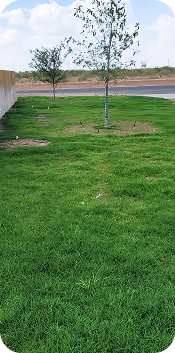 Hydroseeding in Huntsville & Madison County, Al