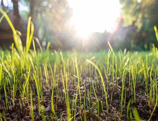 Hydroseeding Services in Huntsville & Madison County, Al