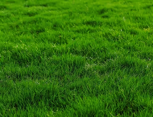Hydroseeding Services in Huntsville & Madison County, Al