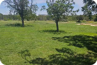 Hydroseeding Services in Huntsville & Madison County, Al