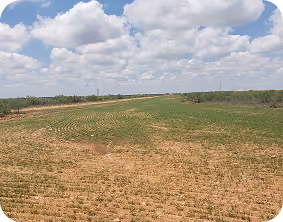 Hydroseeding Services in Huntsville & Madison County, Al
