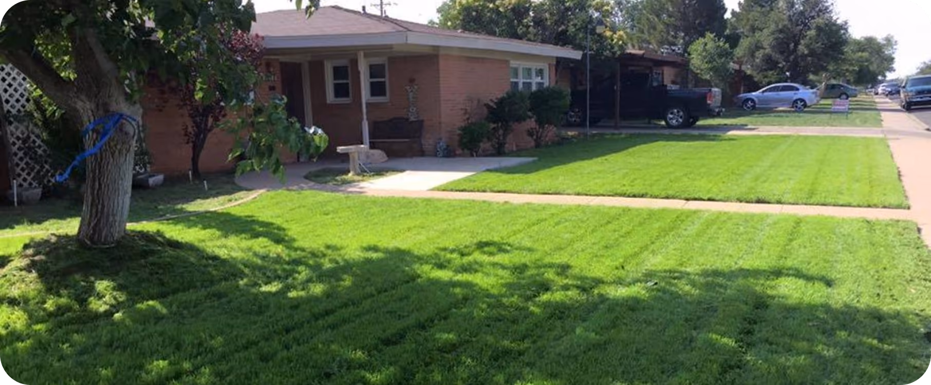 Hydroseeding Services in Huntsville & Madison County, Al