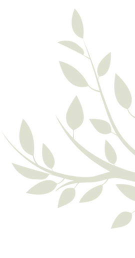 Landscape Edging Services