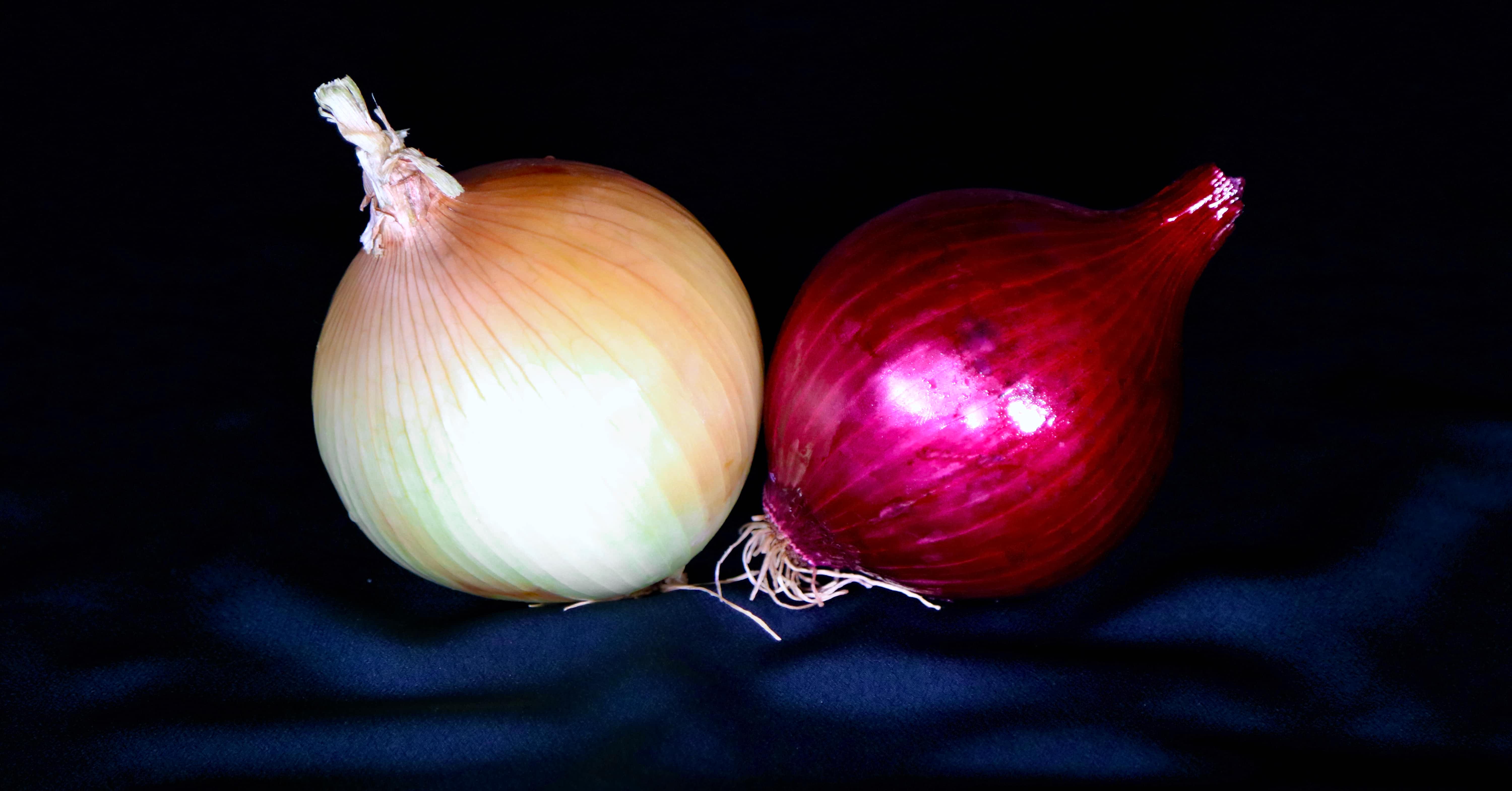 Onion