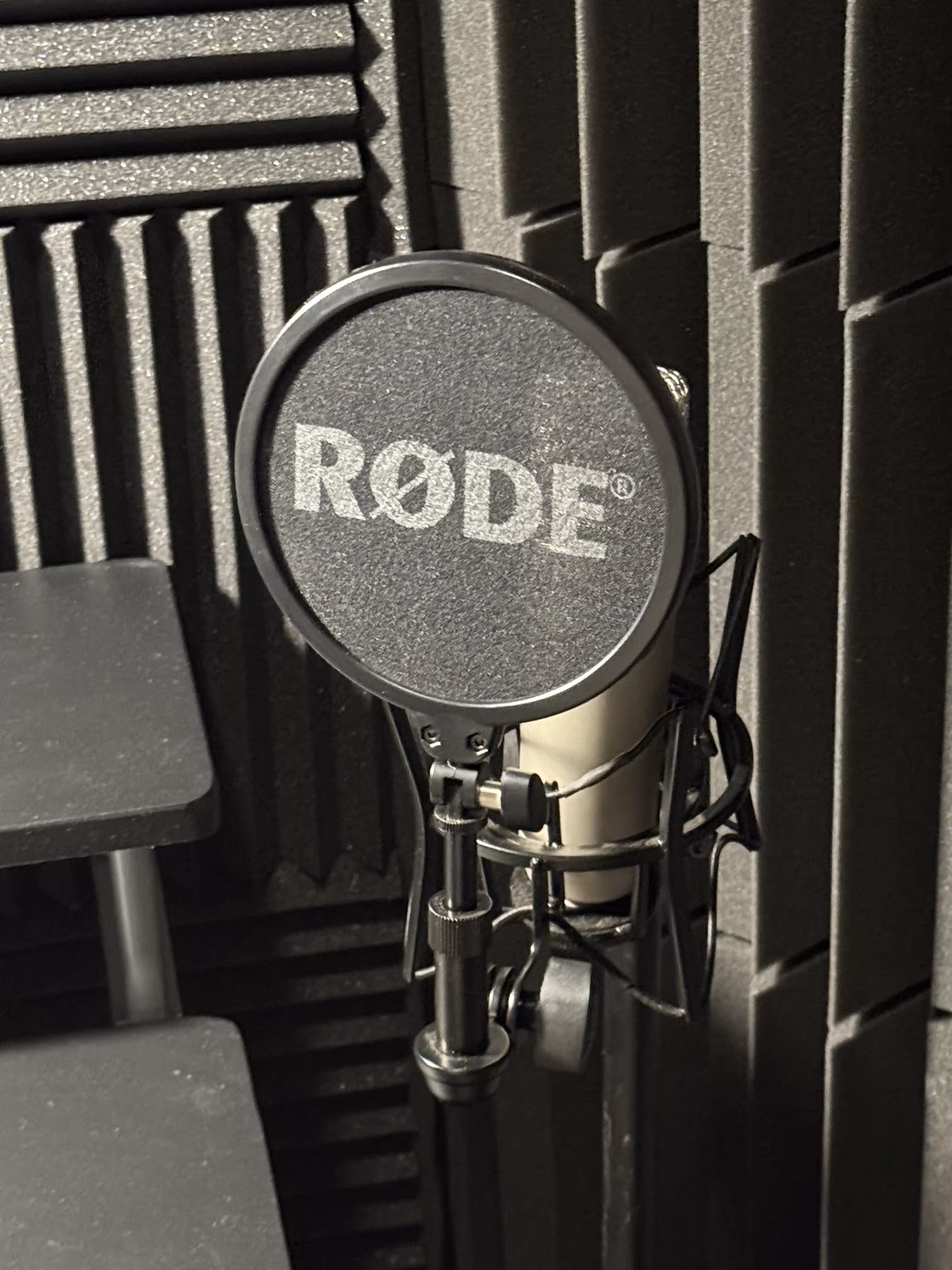 audio 5