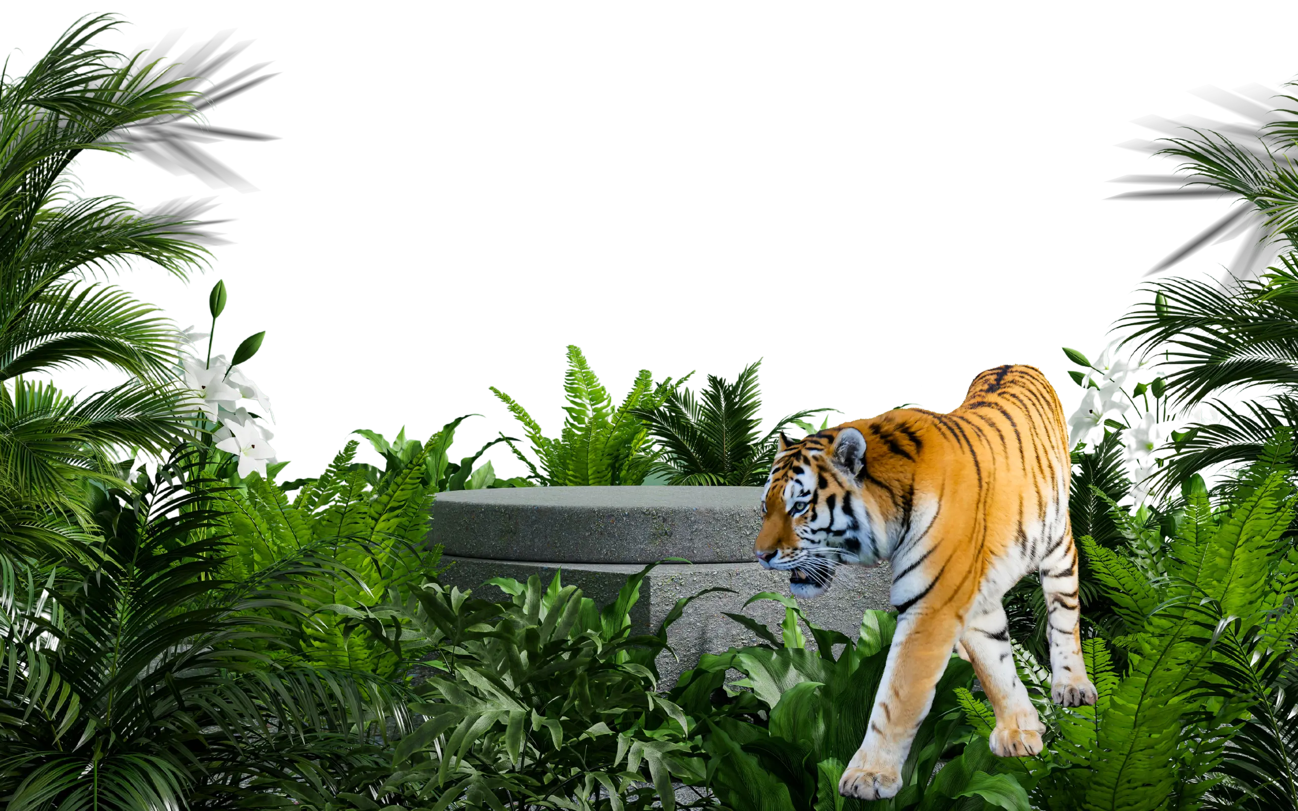 A tiger is standing in front of a stone wall.
