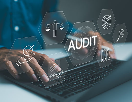 Compliance Audit
